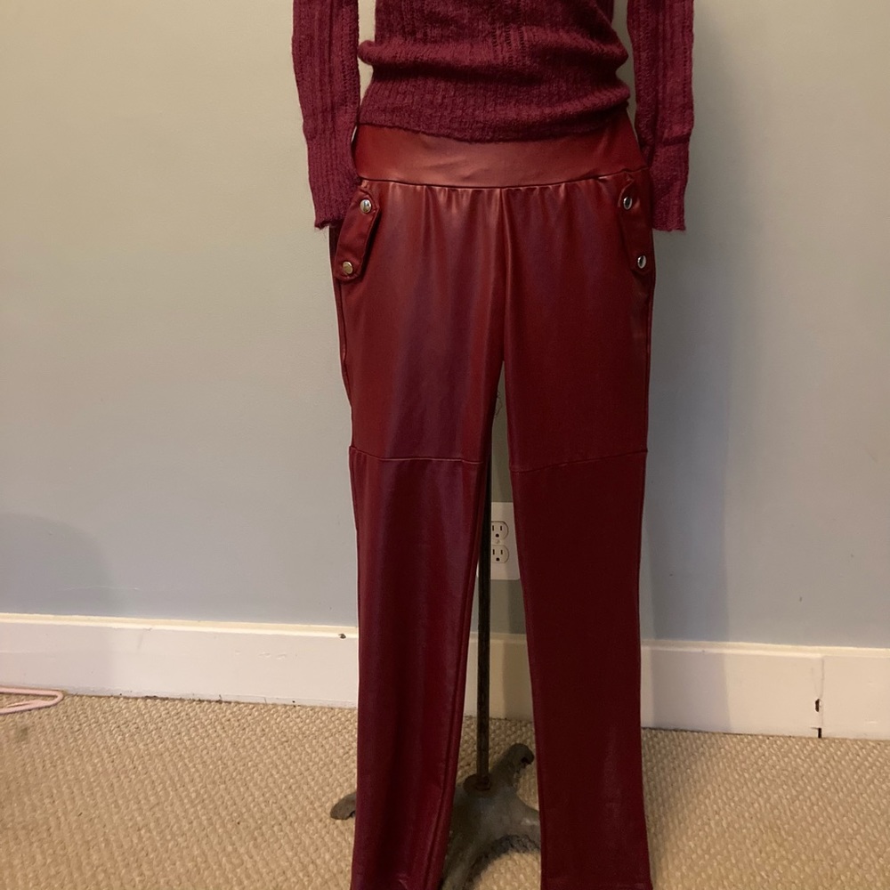 Ladies Shiny Pants Size M, Wine